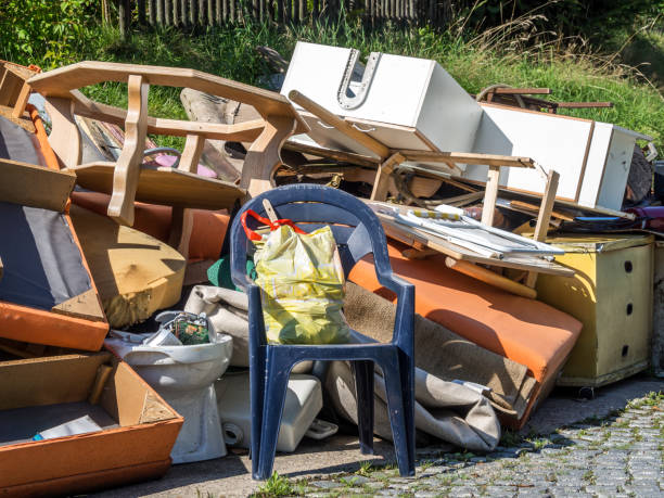 Best Attic Cleanout Services  in Le Sueur, MN