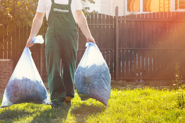 Best Mattress Removal Service  in Le Sueur, MN